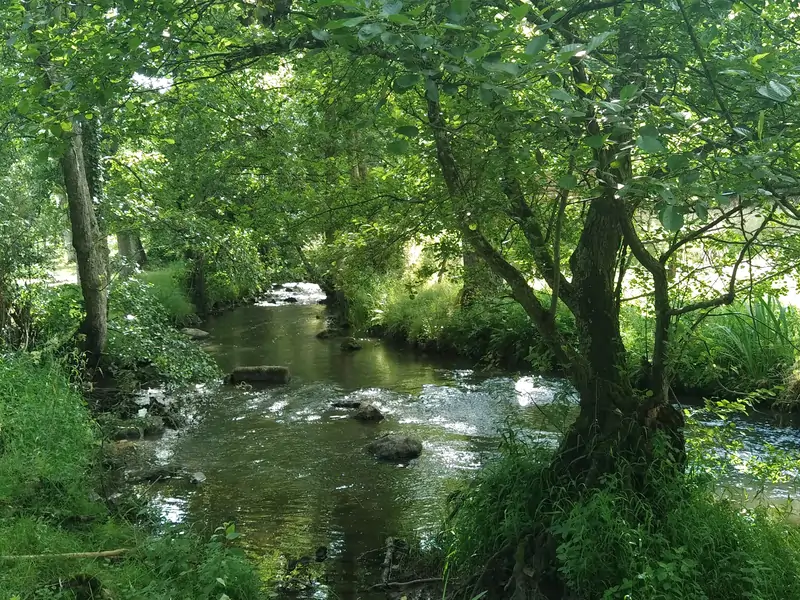 Propriété du Moulin